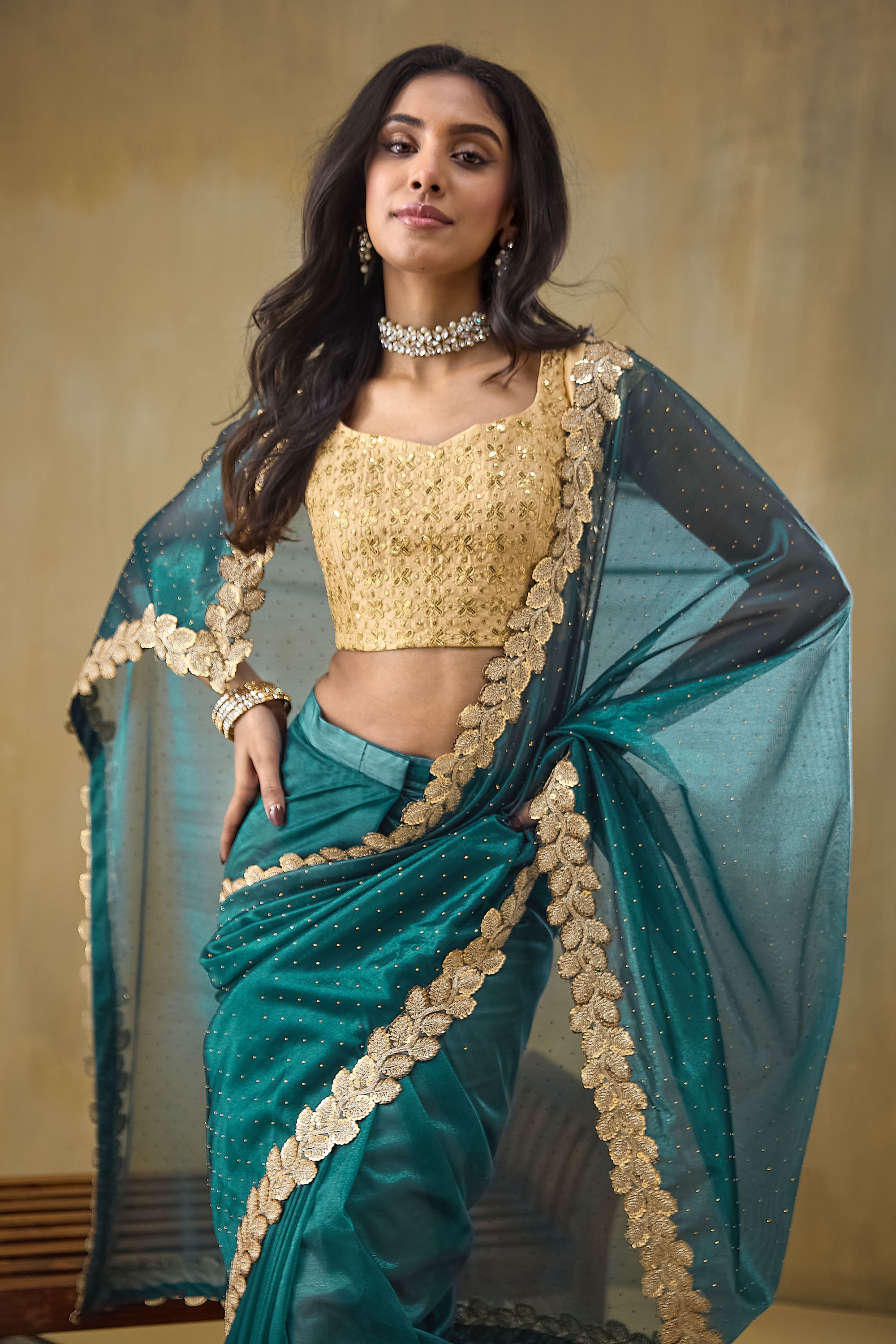 Embellished Lace Border Swarovski Saree