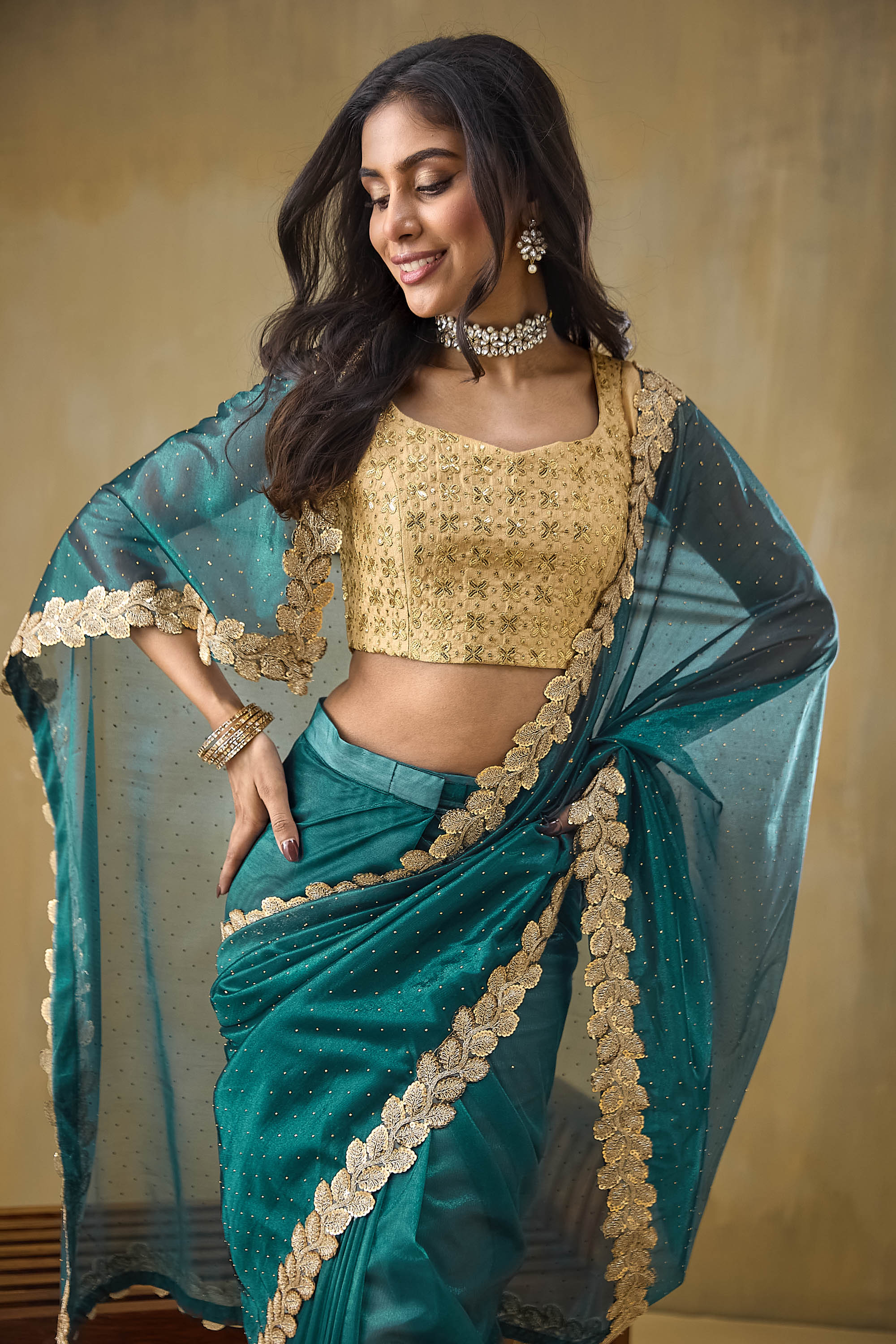 Embellished Lace Border Swarovski Saree