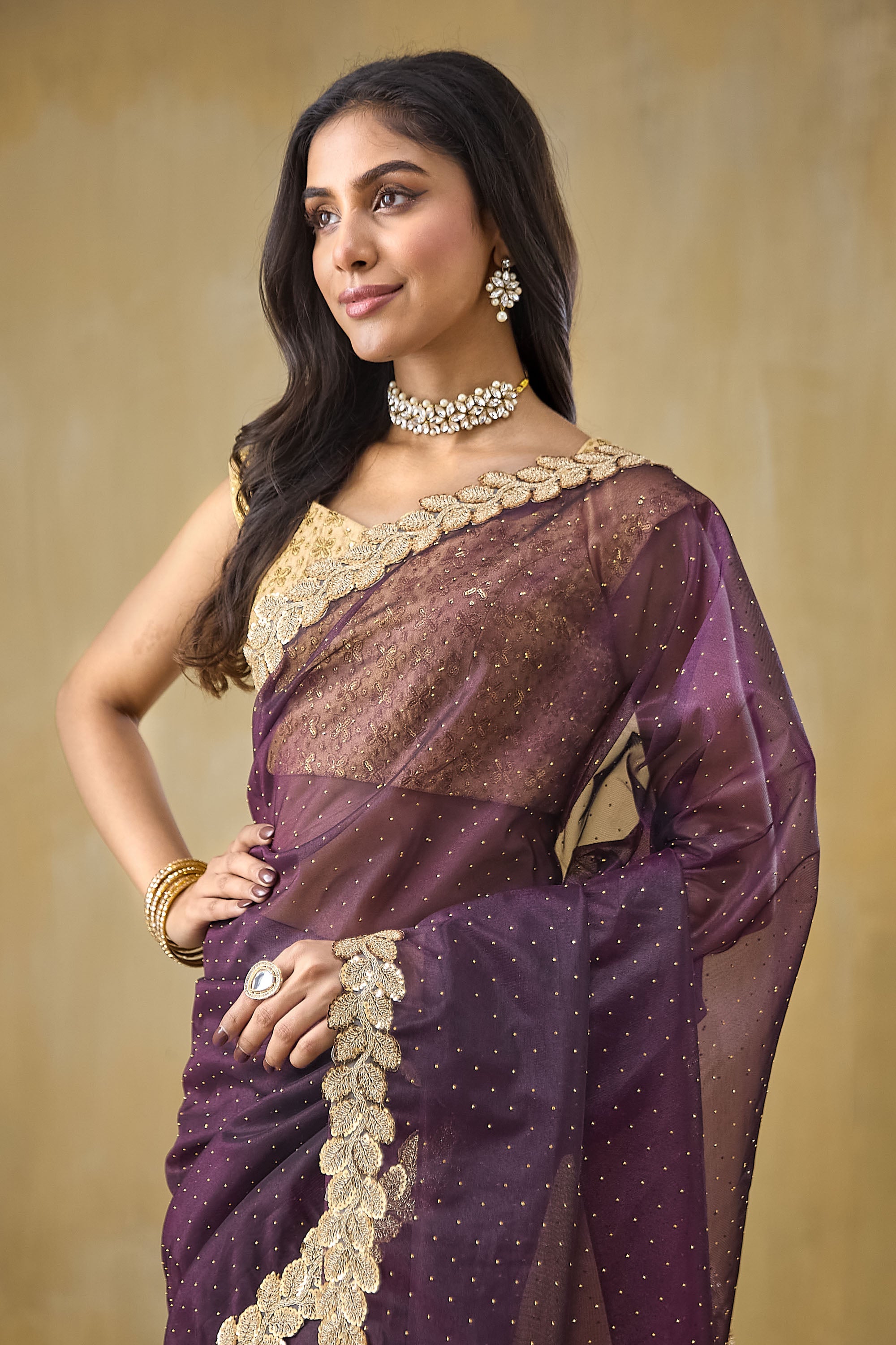 Embellished Lace Border Swarovski Ready To Wear Saree