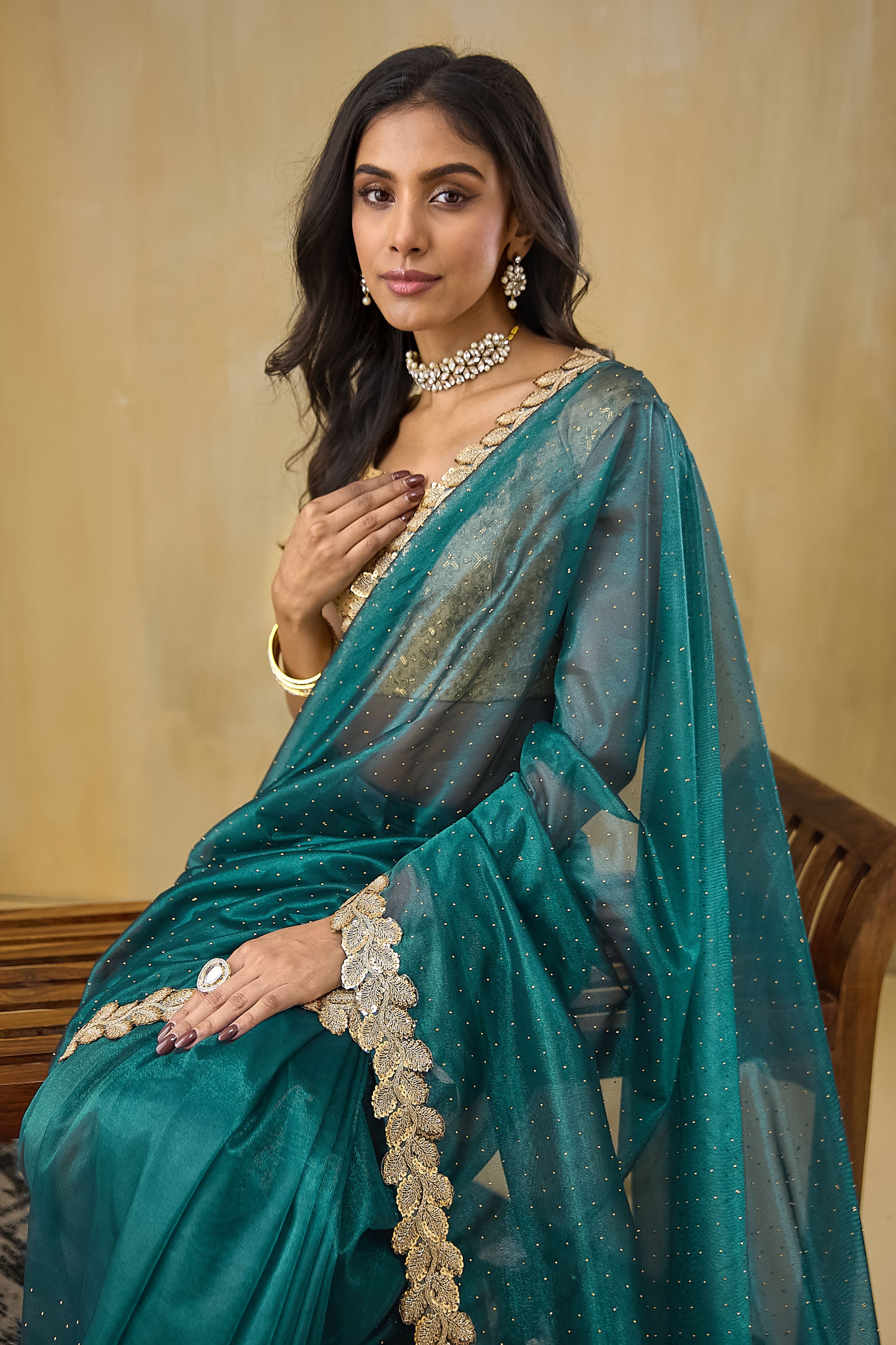 Embellished Lace Border Swarovski Saree