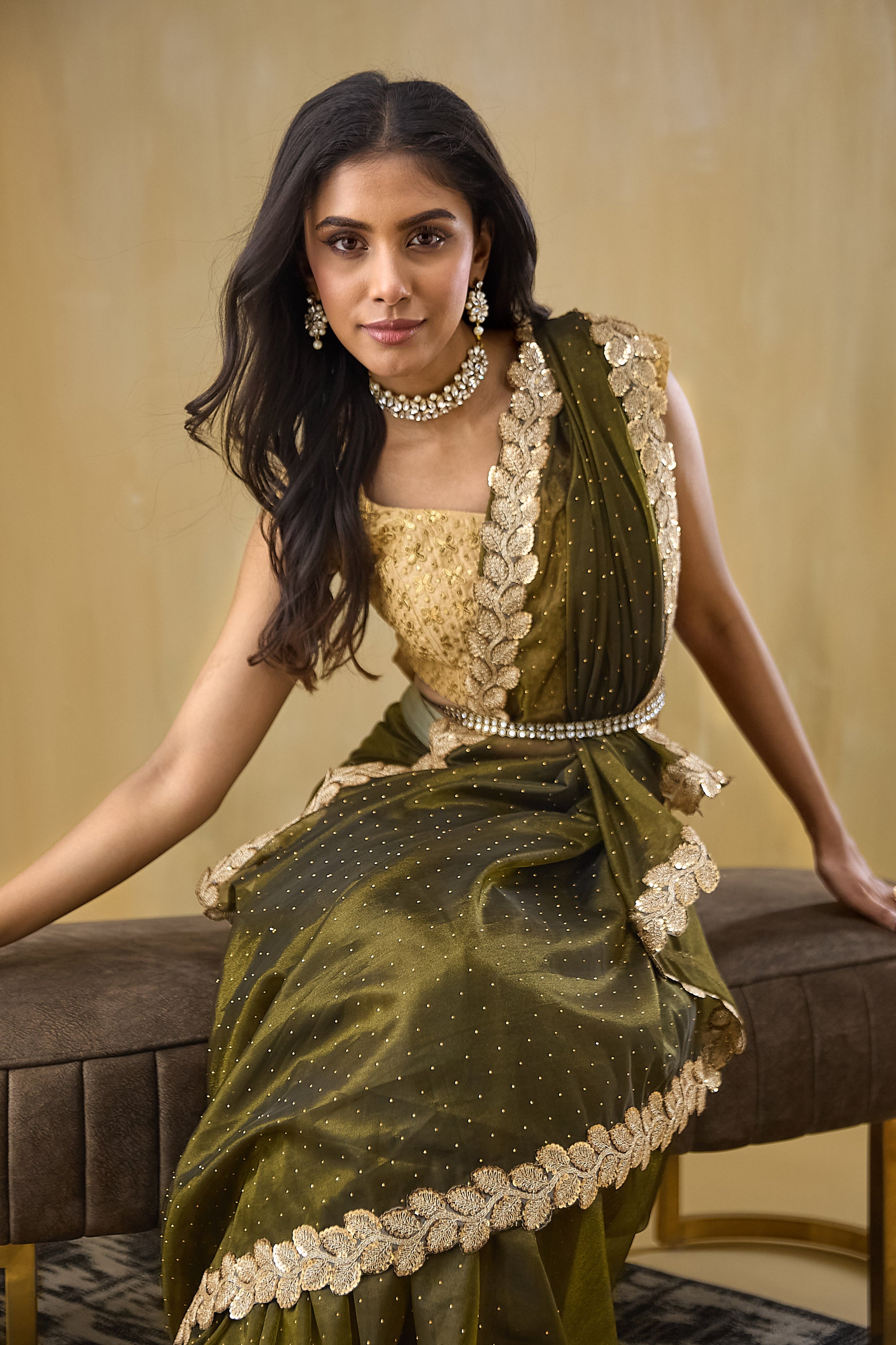 Embellished Lace Border Swarovski Saree