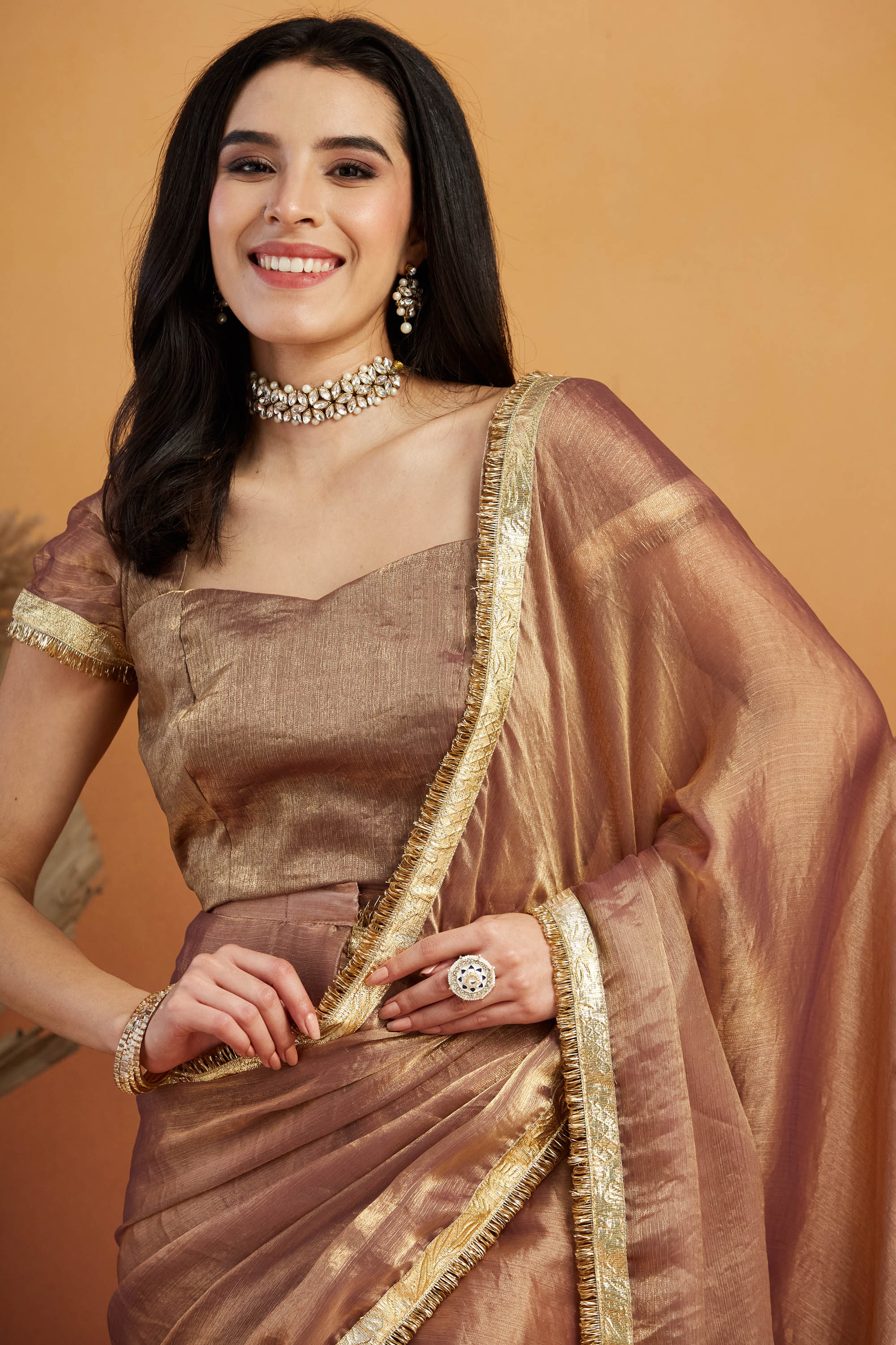 Ari Mirror Work Shiney Silver Chiffon Saree